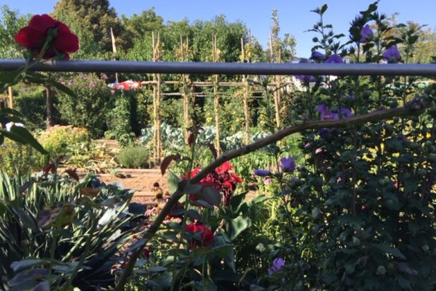 Klein Garten